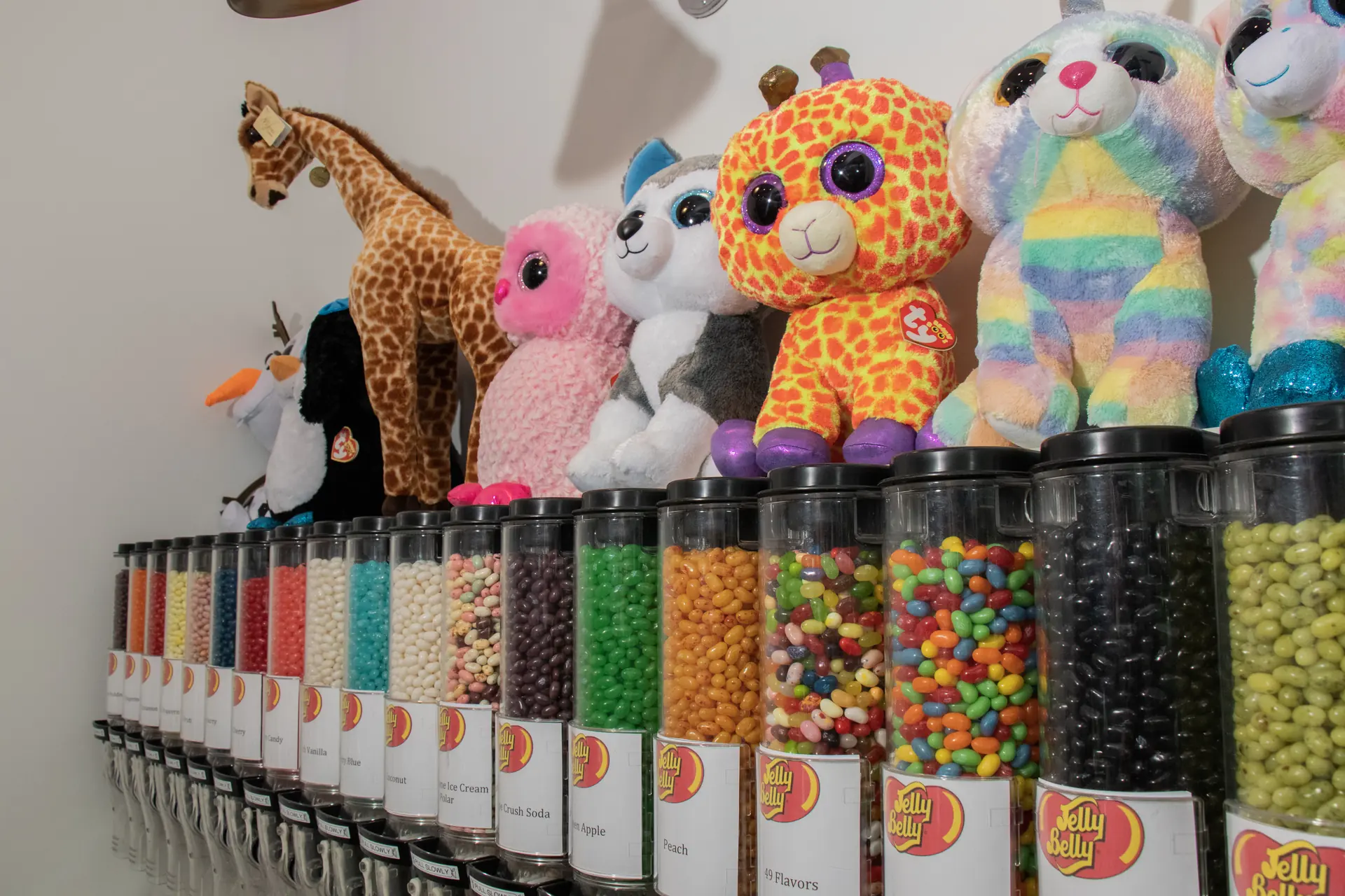Jelly Belly dispensers and novelty treats at Sweet Factory, Somerset Mall, Troy Michigan